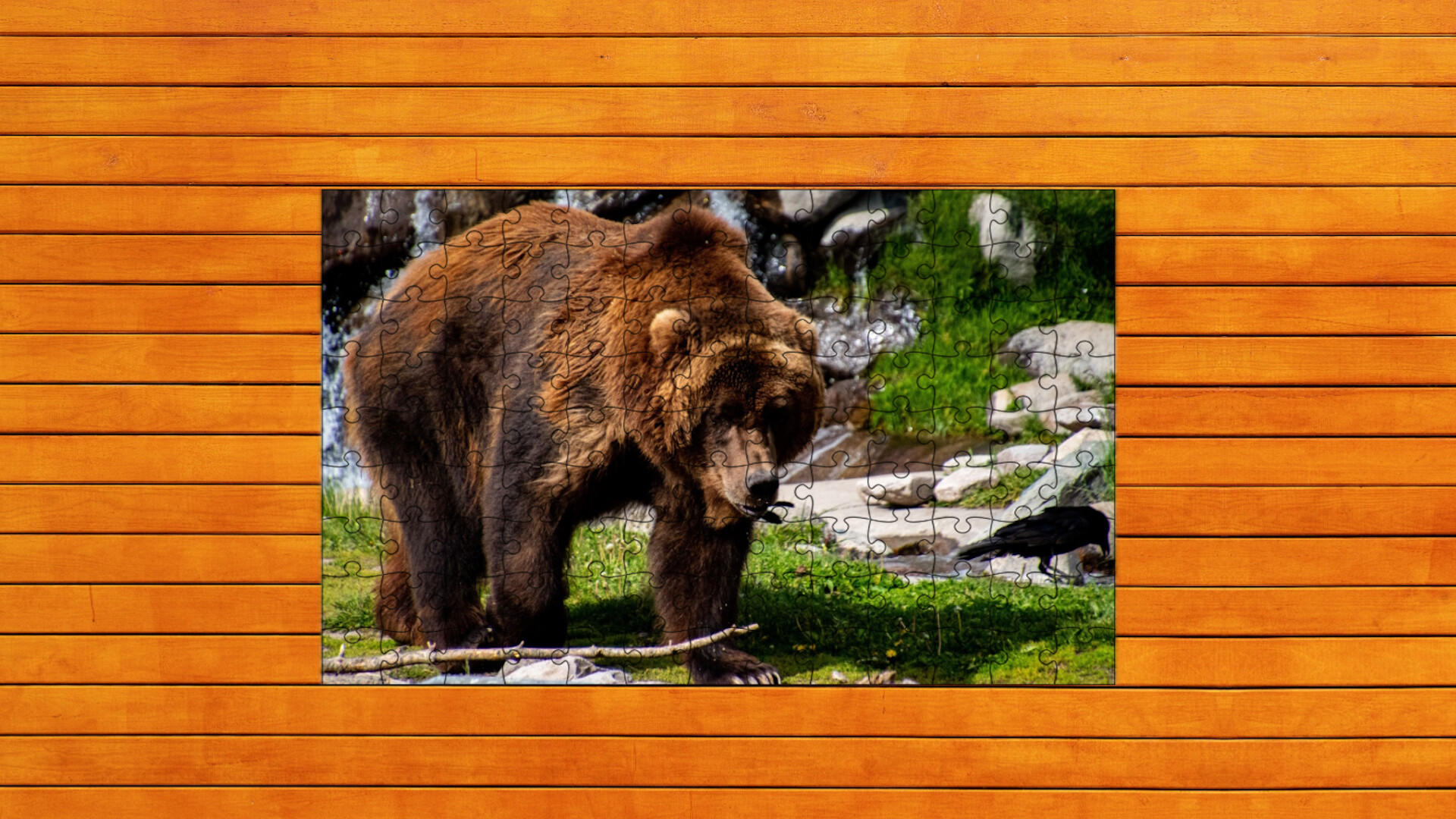 Bear vs. Wolf Jigsaw Puzzle screenshot 4