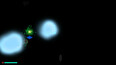 Screenshot #6