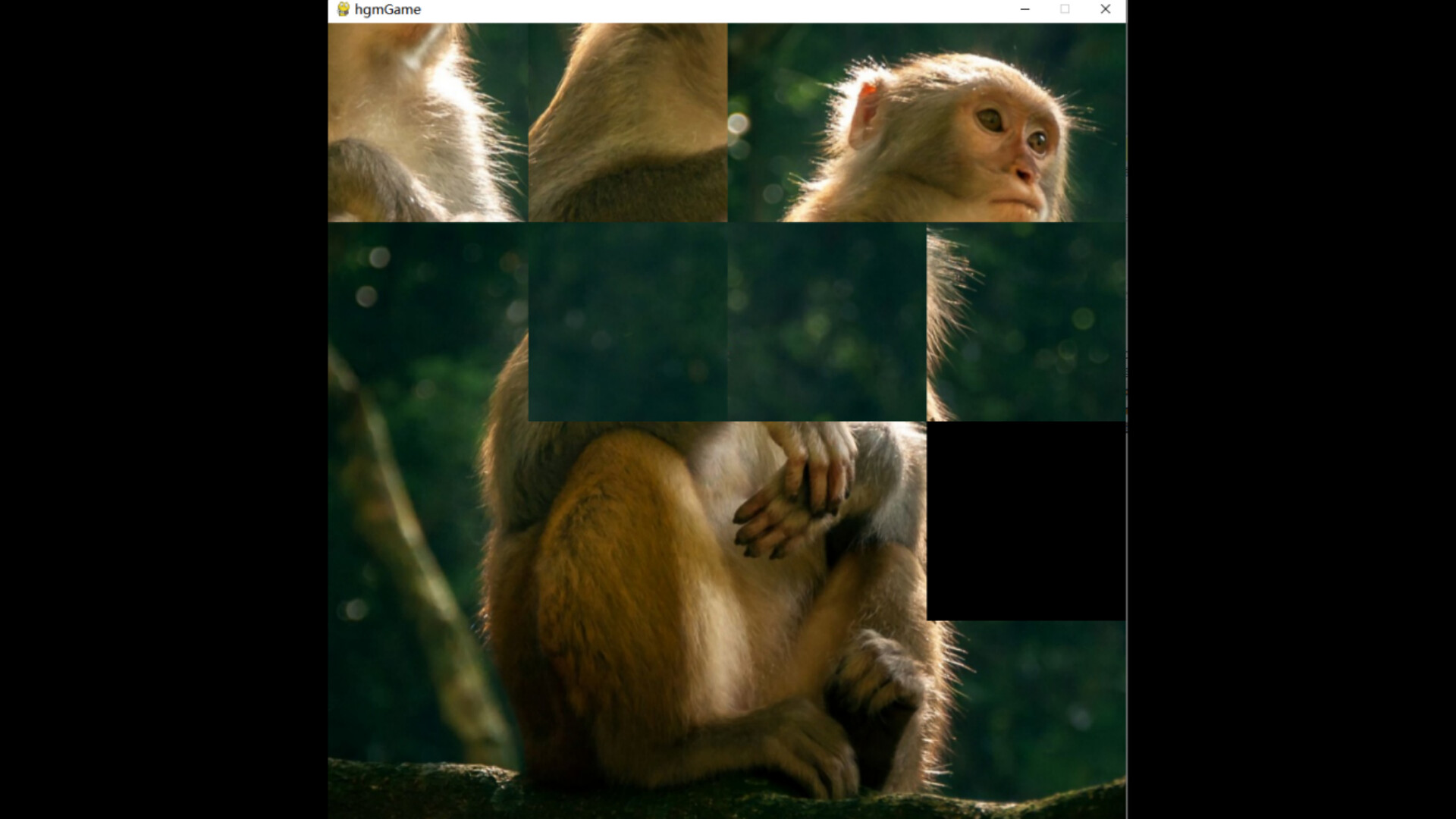 hgmGame-monkey screenshot 5