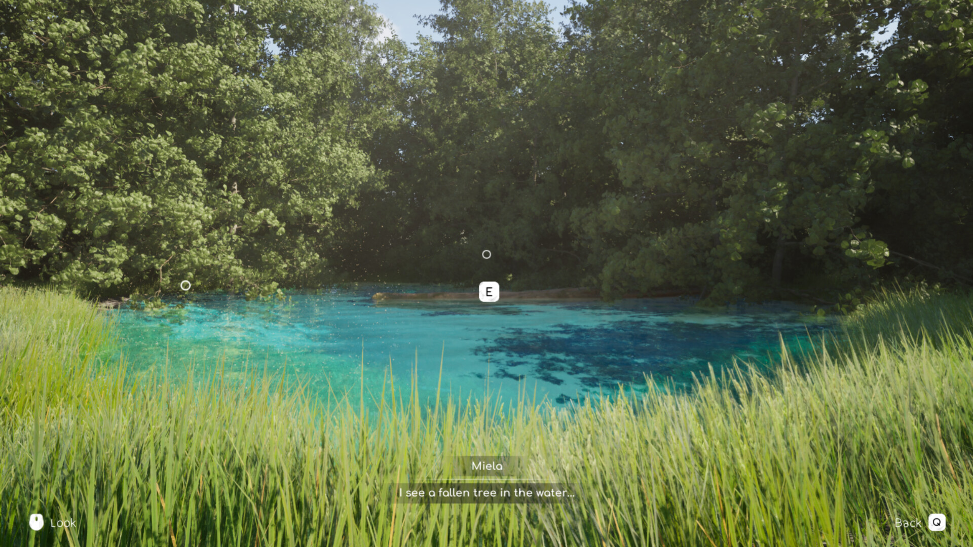 Arcadian Days screenshot 5