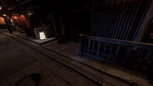 Kyoto Anomaly