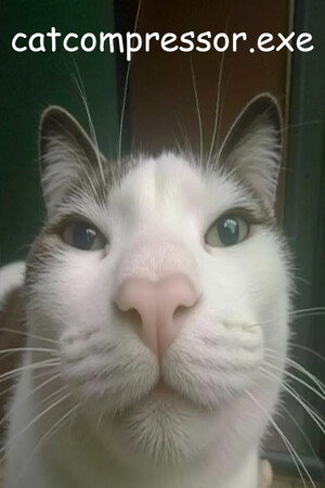 24ebca1a-8d68-b2f2-c0a9-c66afb265284