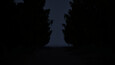 Screenshot #11