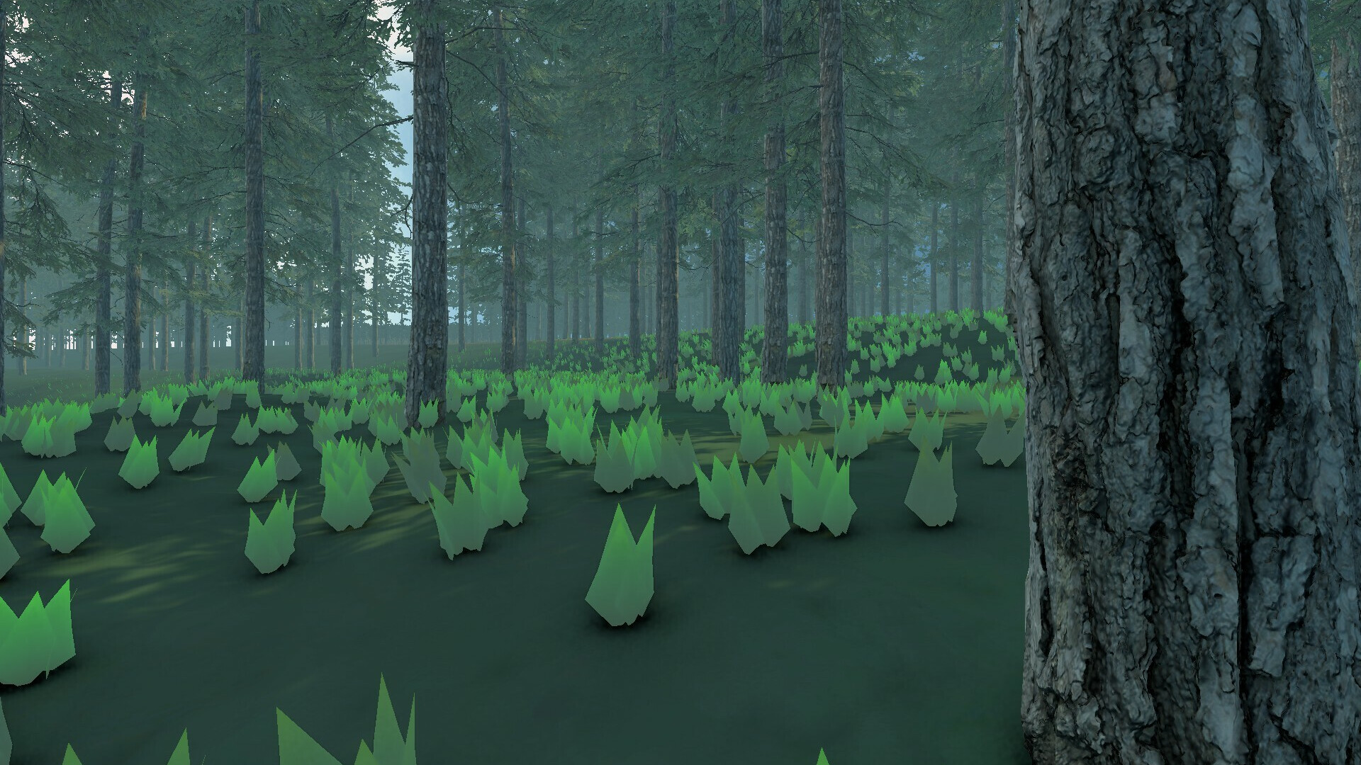 Orienteering VR screenshot 1