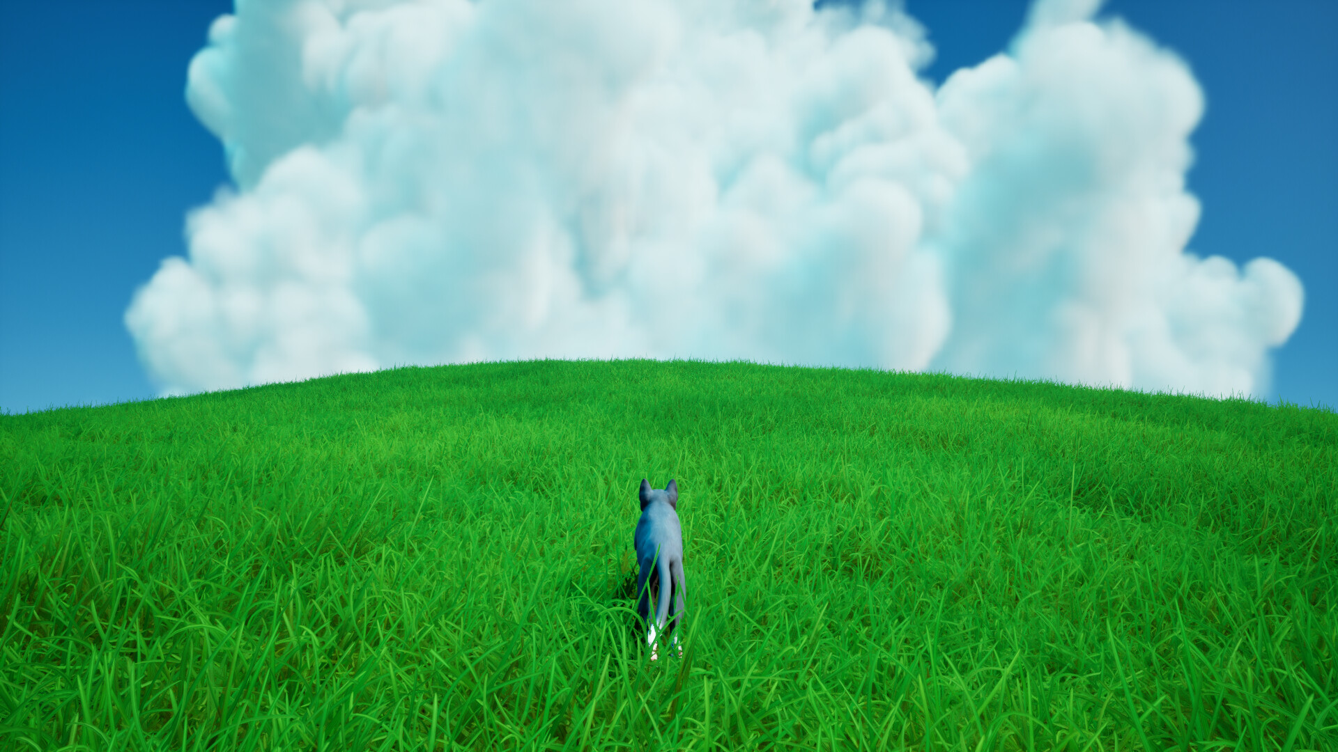 LIMINAL CAT screenshot 7