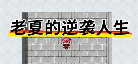 老夏的逆袭人生