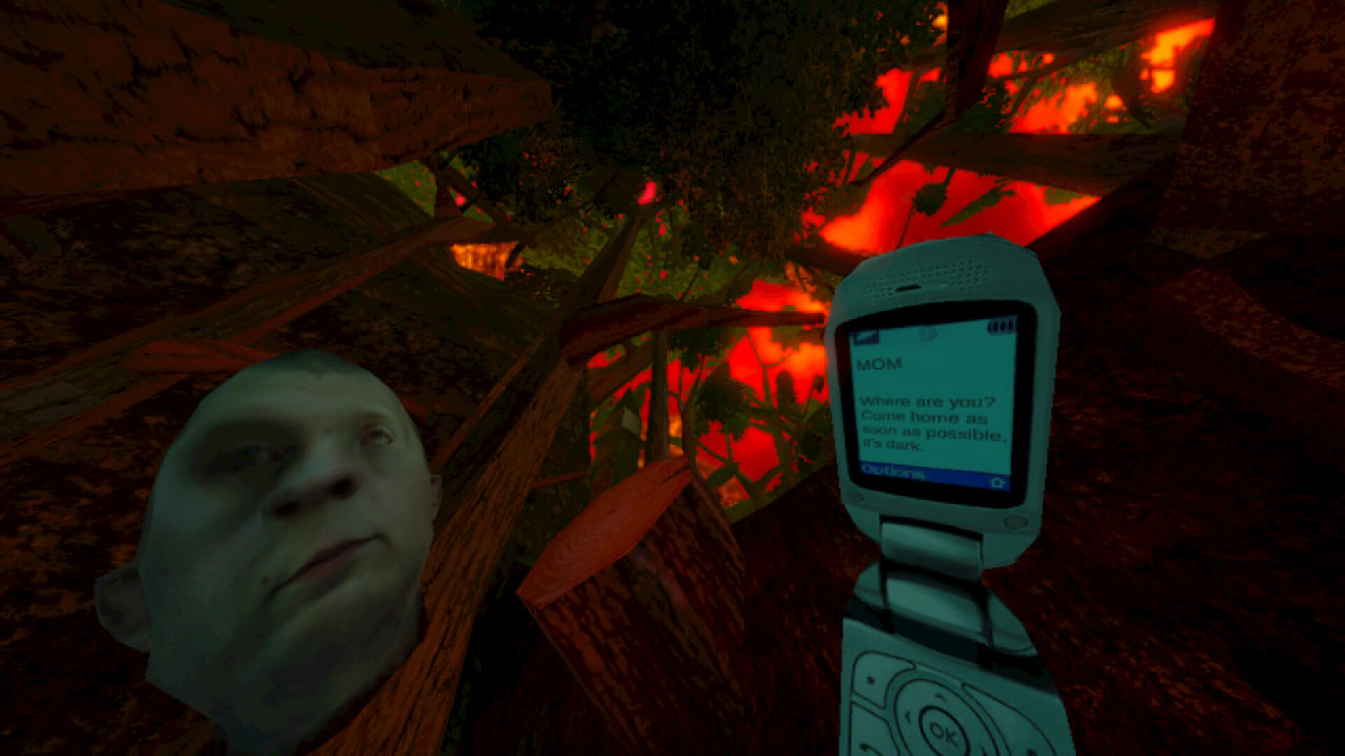 暴煞狂想2/Violent Horror Stories 2 