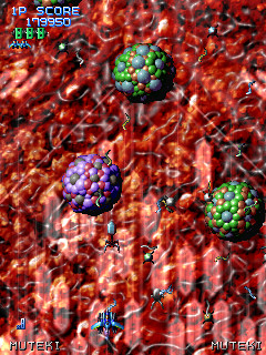 XIIZEAL screenshot 9