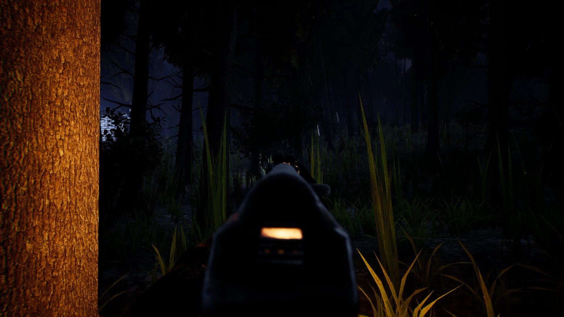 Forest screenshot 5