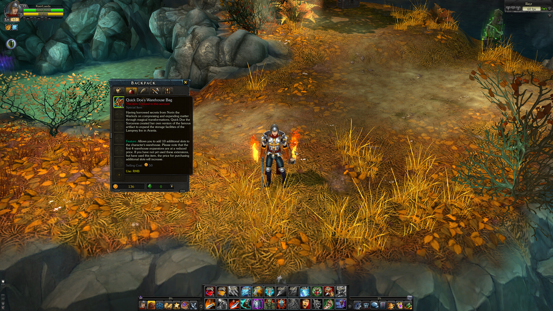 Royal Quest Online - Packmaster screenshot 3