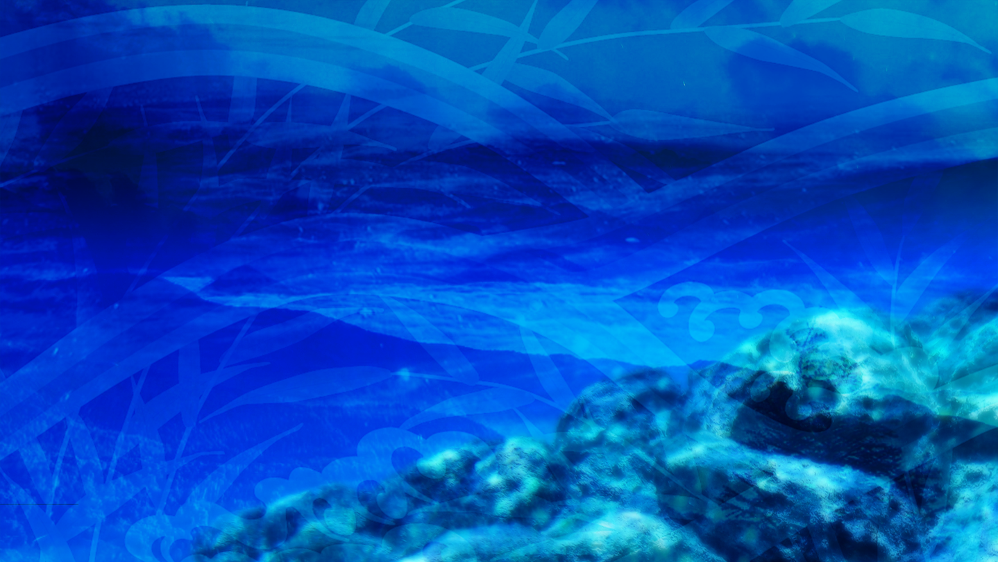 东方天海瀑 ~ Destroyer in Miraculous Storm. on Steam