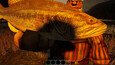 Screenshot #7