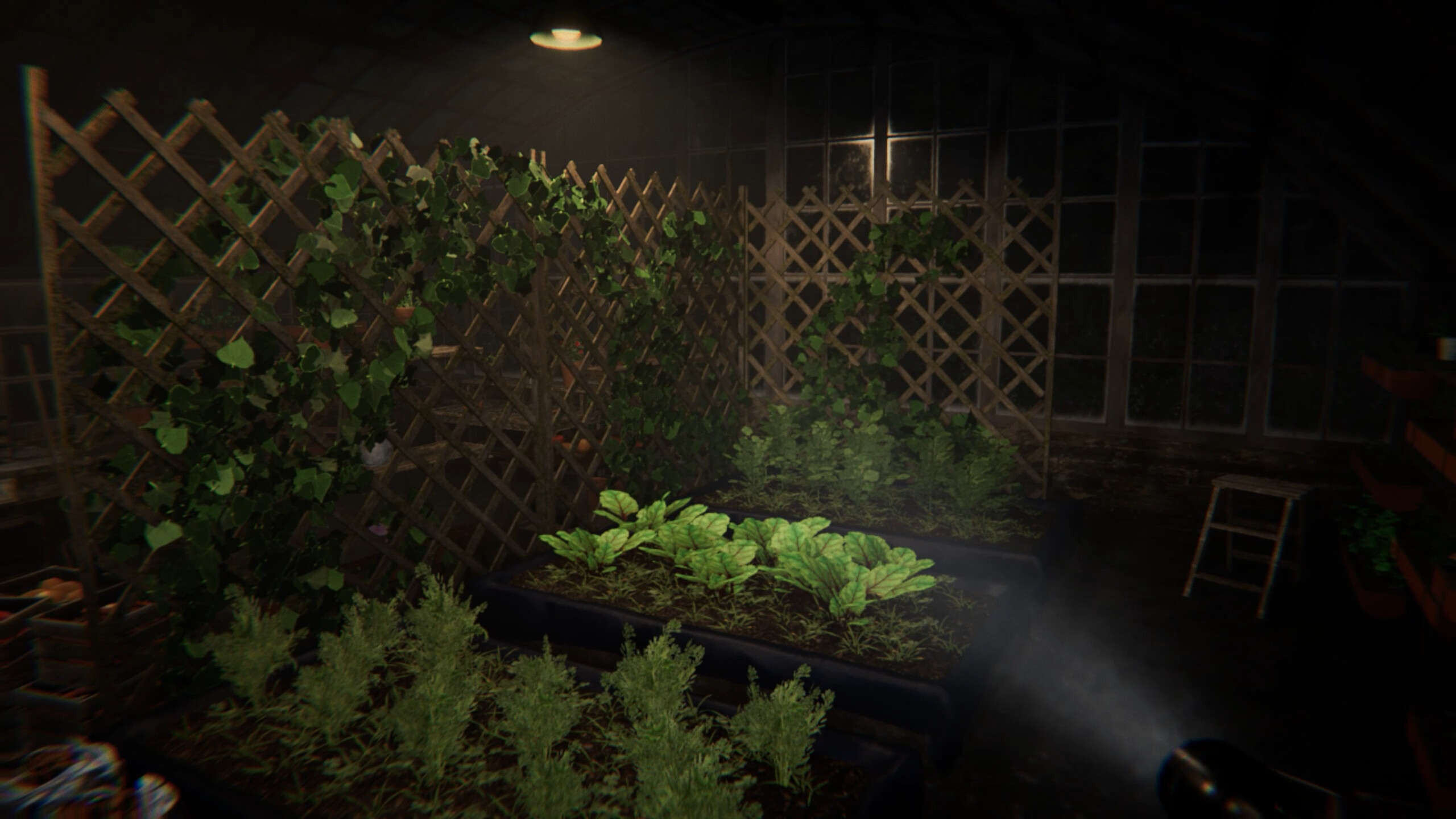 The Wellmonts Case screenshot 8
