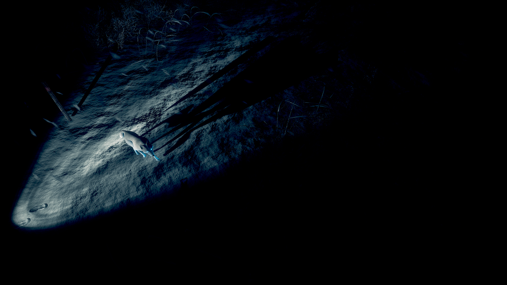 Kona screenshot 10