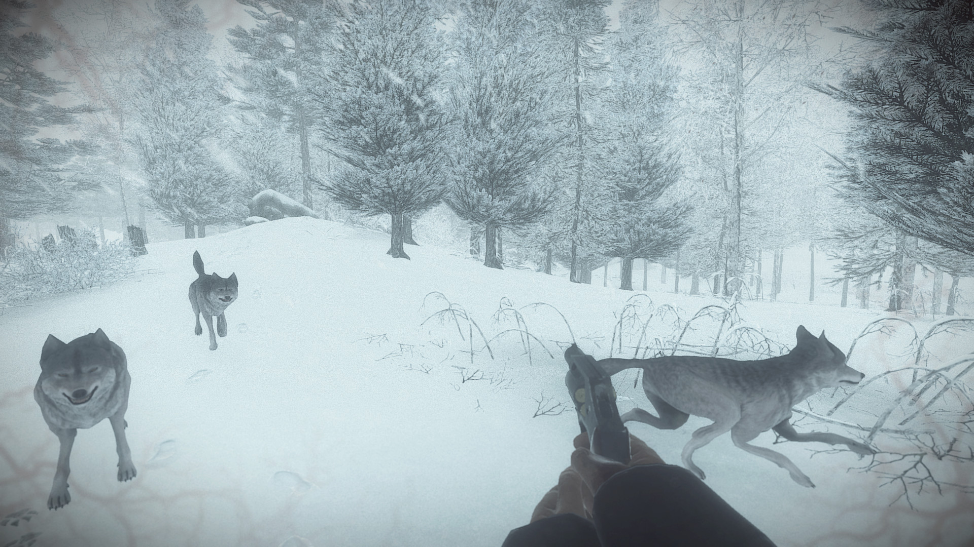 Kona screenshot 7
