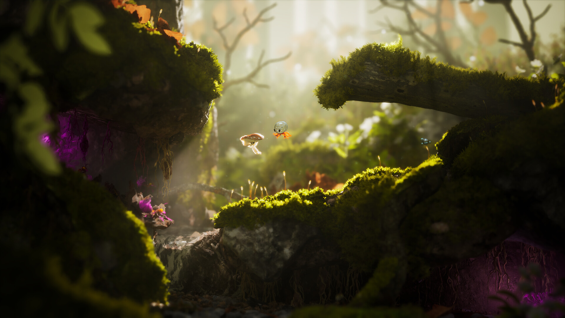Dew screenshot 5