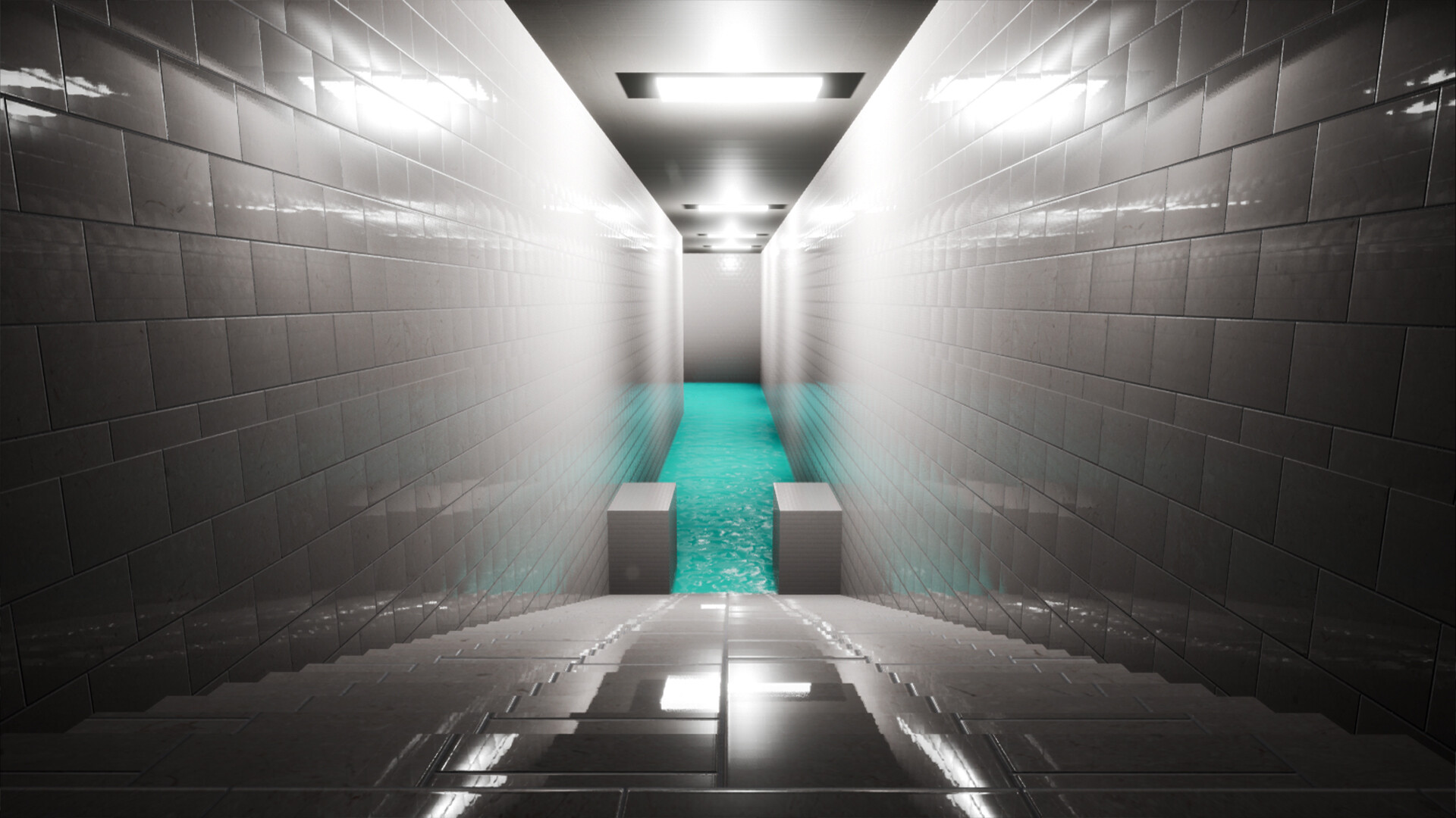 AQUARIUMS screenshot 6