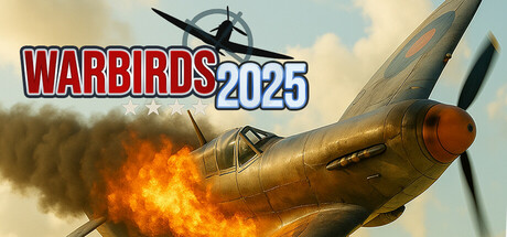 WarBirds - World War II Combat Aviation