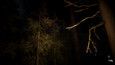 Screenshot #10