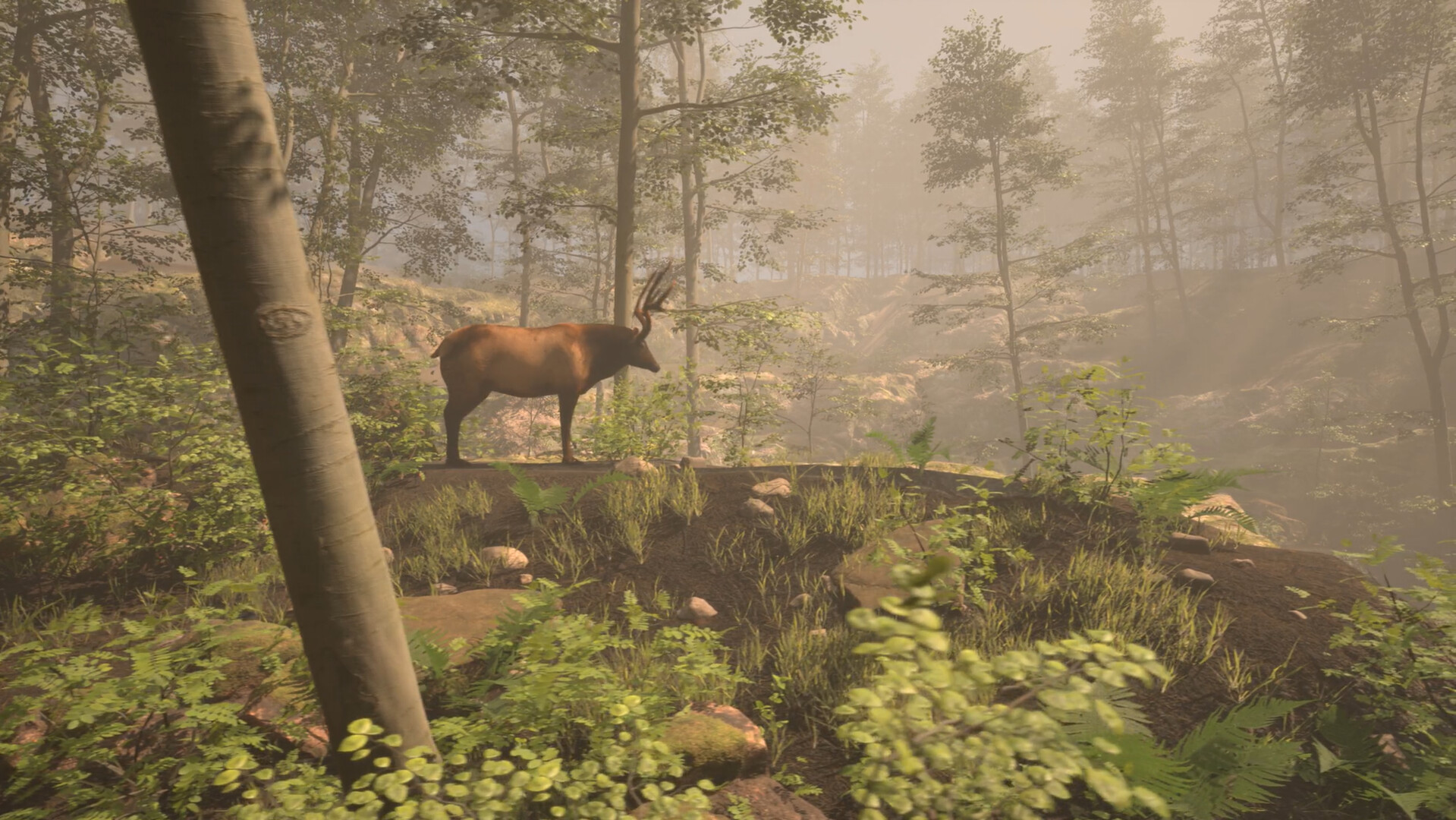 Red Rust Pioneers: Çok Oyunculu Batı Hayatta Kalma Simülatörü Steam'de