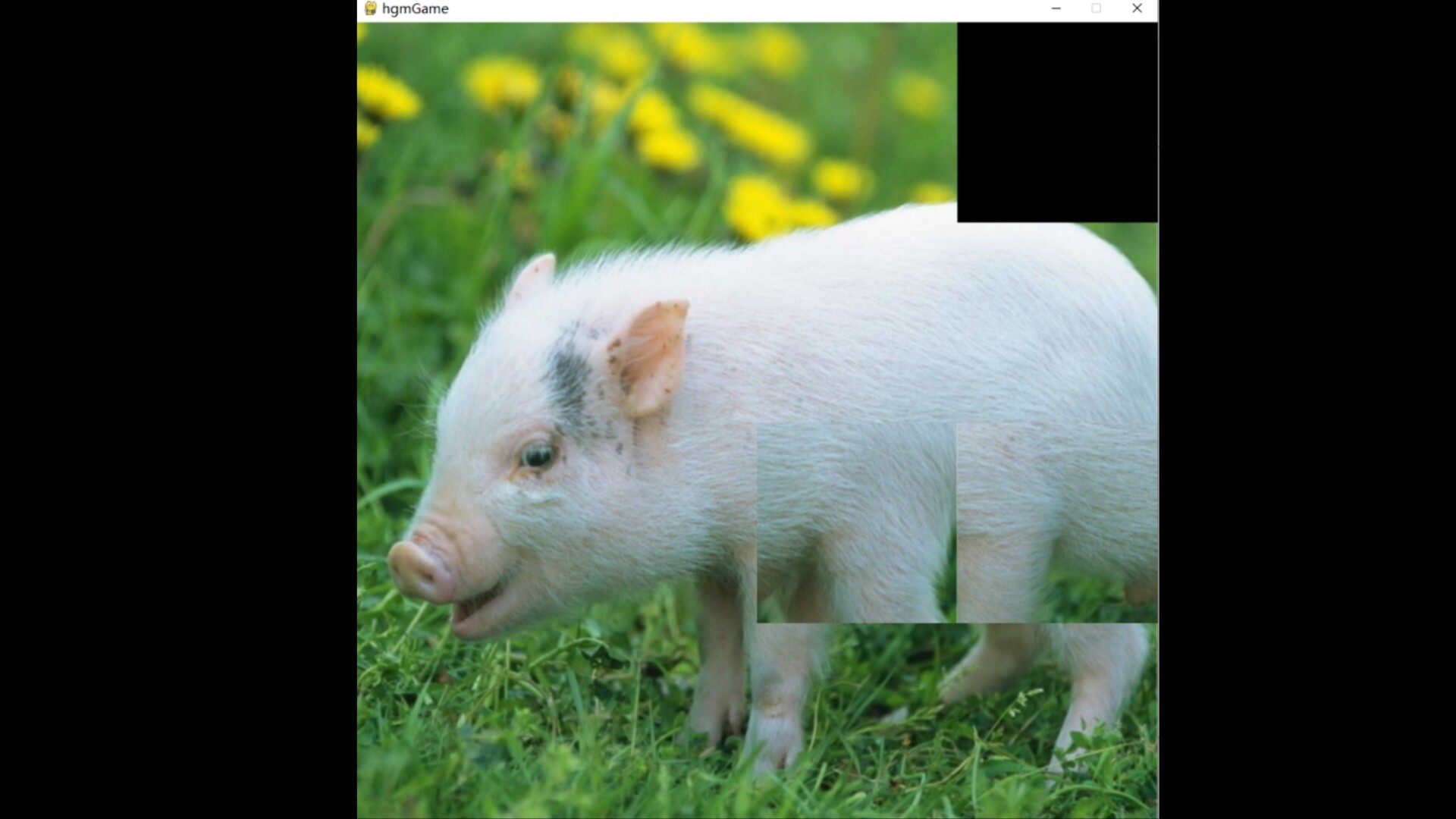 hgmGame-pig screenshot 3