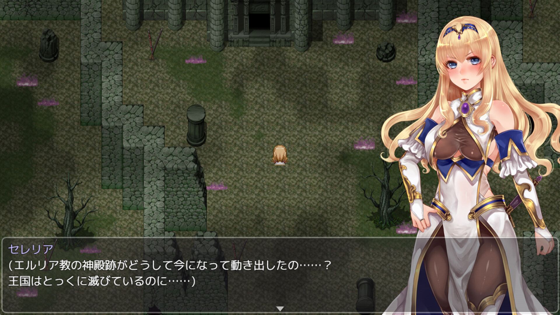 Rafica and Sealing Wedge screenshot 5