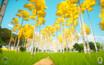 A screenshot of Akiiwan: Survival