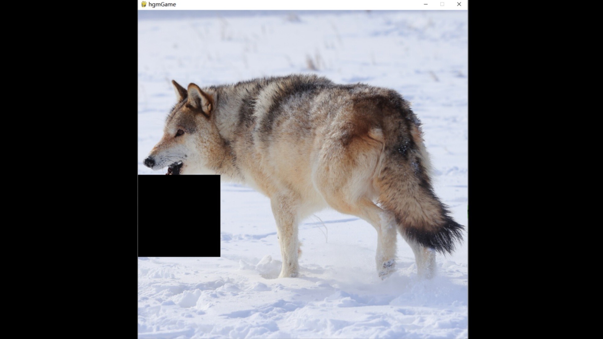 hgmGame-wolf screenshot 5