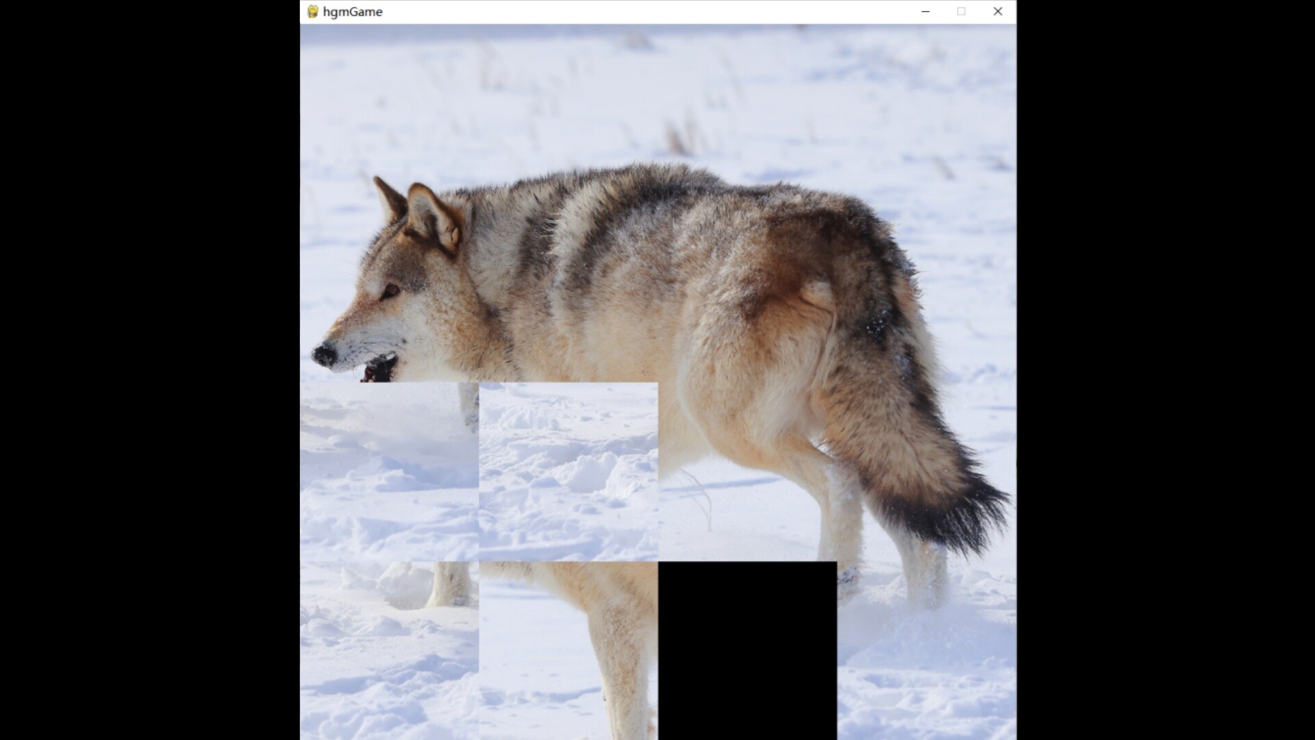 hgmGame-wolf screenshot 4