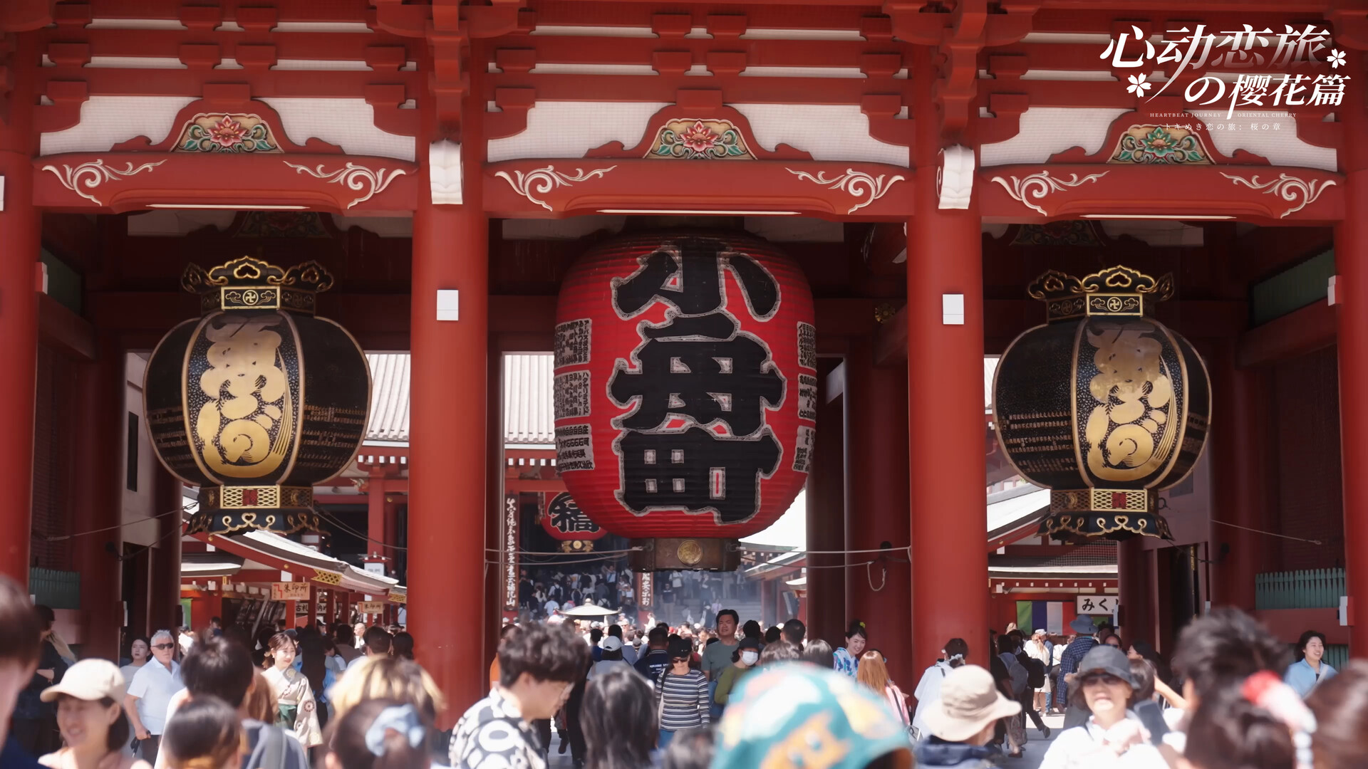 心动恋旅：樱花篇/Blossom Voyage 截图 5