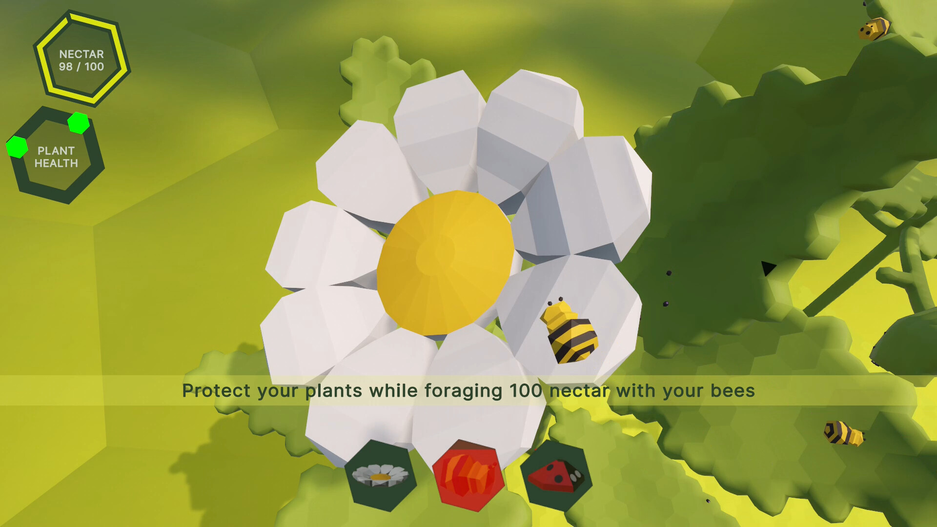 Phero screenshot 4
