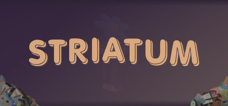 Striatum Cover Image