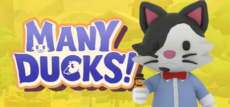 Many Ducks Cover Image