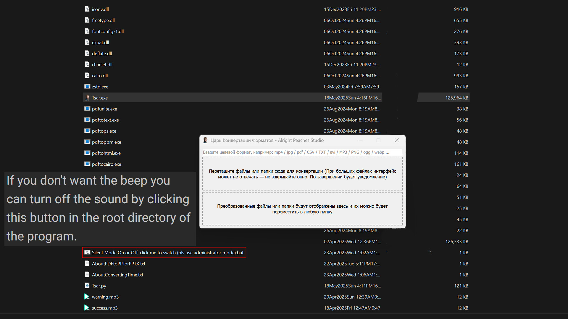 Format Converter Tsar screenshot 9