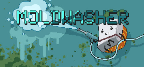 Moldwasher Cover Image