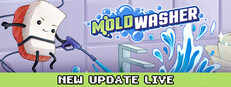 Moldwasher