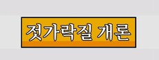 젓가락질 개론