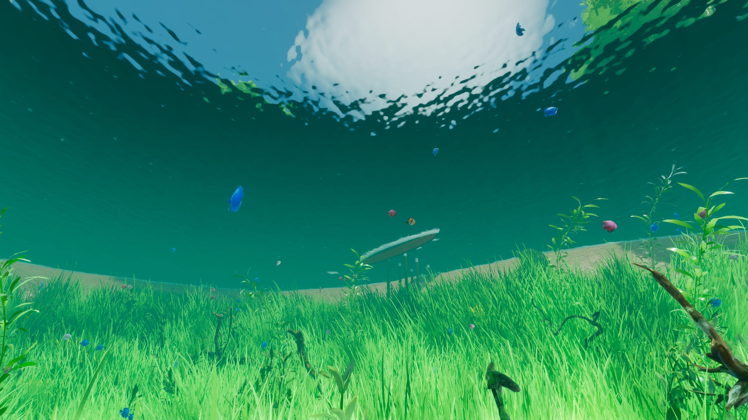 The Aquarium screenshot 14