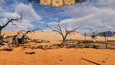 A screenshot of Wild West Supermarket Simulator