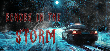 Echoes in the Storm Cover Image