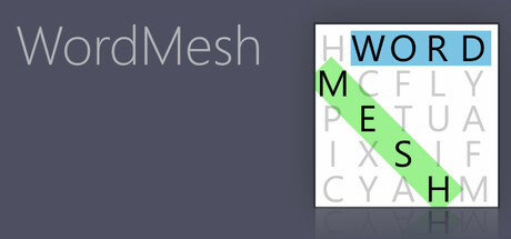 Word Mesh Cover Image