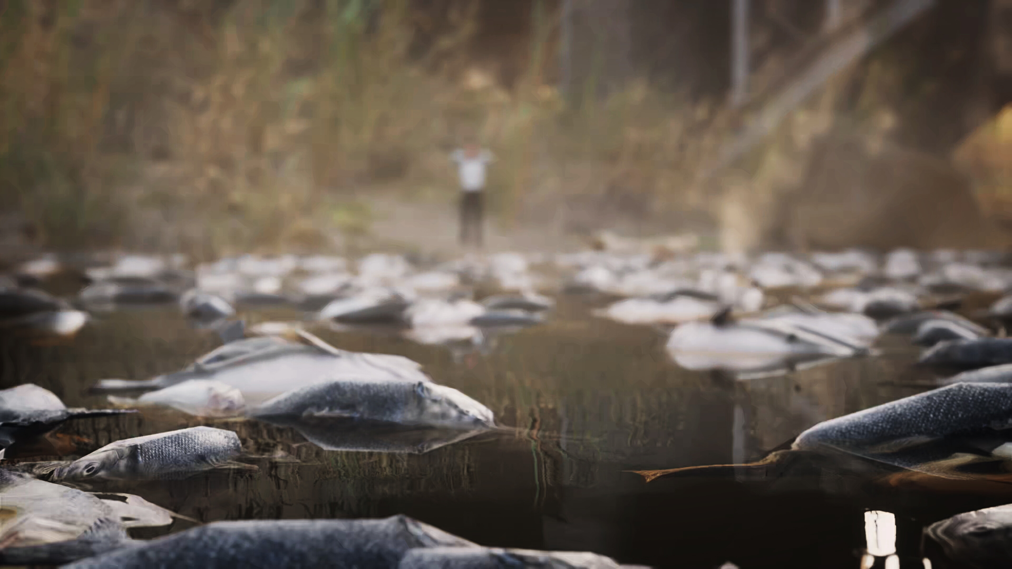 The Sixth Extinction screenshot 4