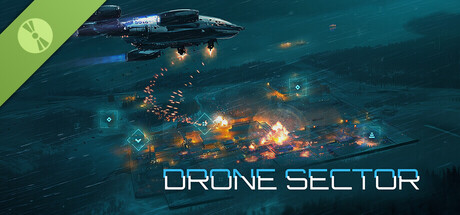Drone Sector Demo