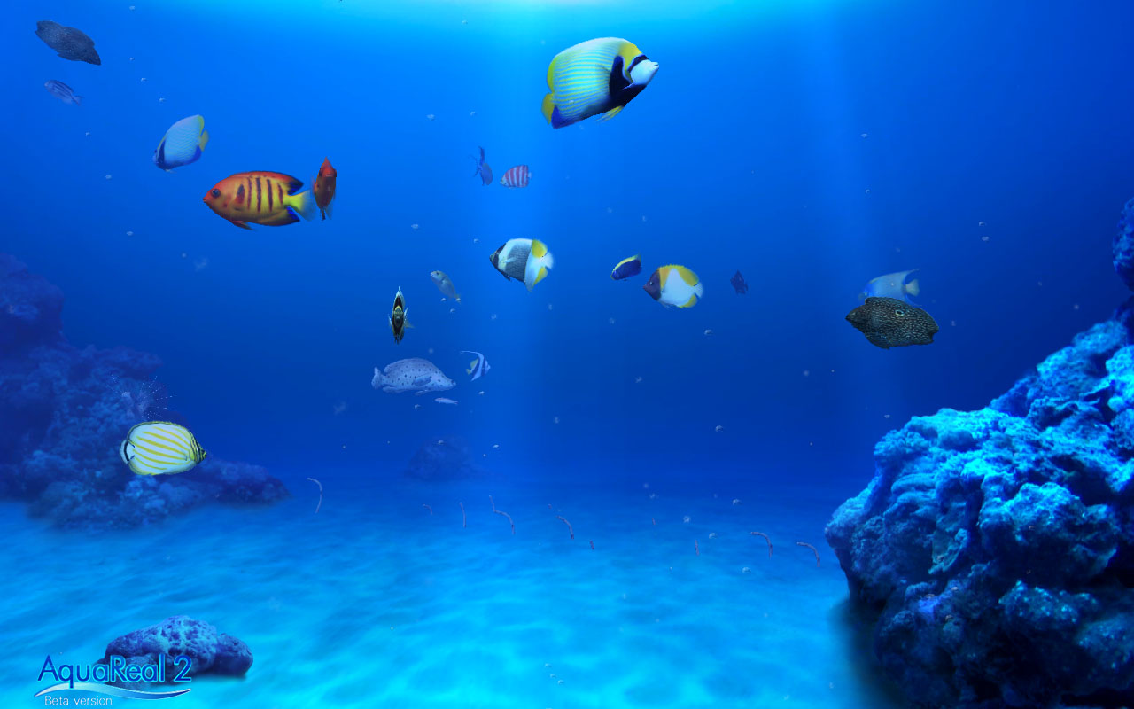 DigiFish Aqua Real 2 screenshot 3