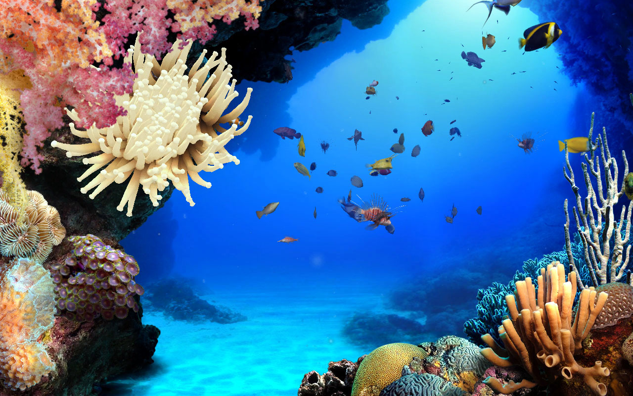 DigiFish Aqua Real 2 screenshot 1