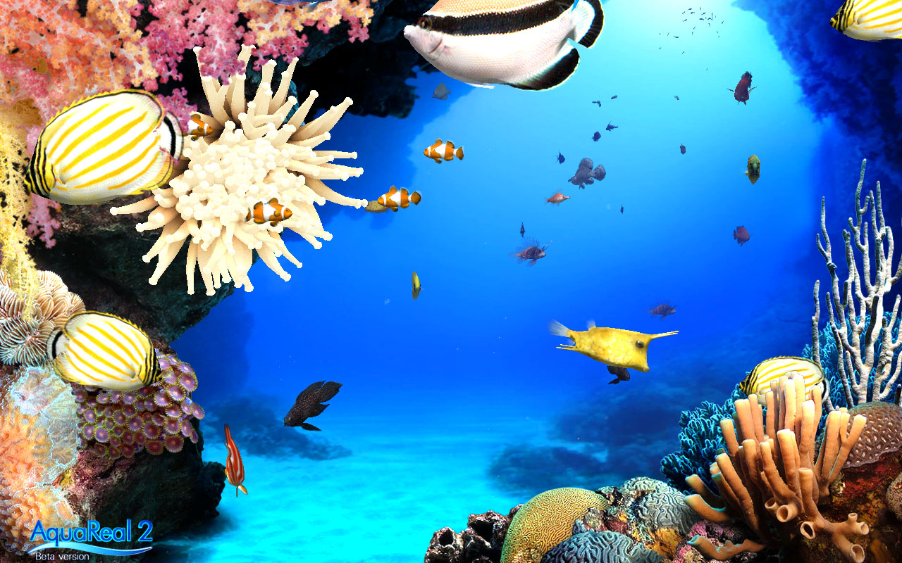 DigiFish Aqua Real 2 screenshot 4
