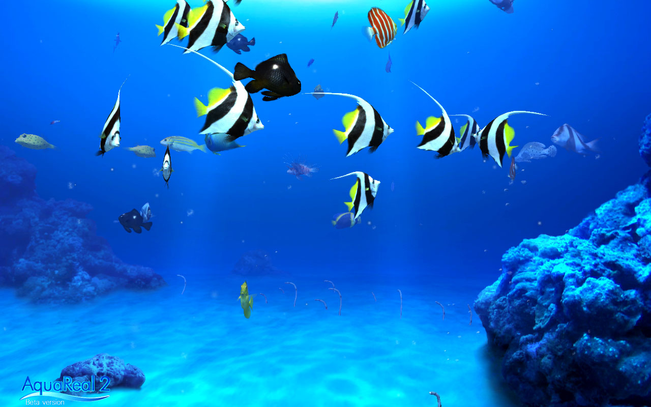 DigiFish Aqua Real 2 screenshot 7