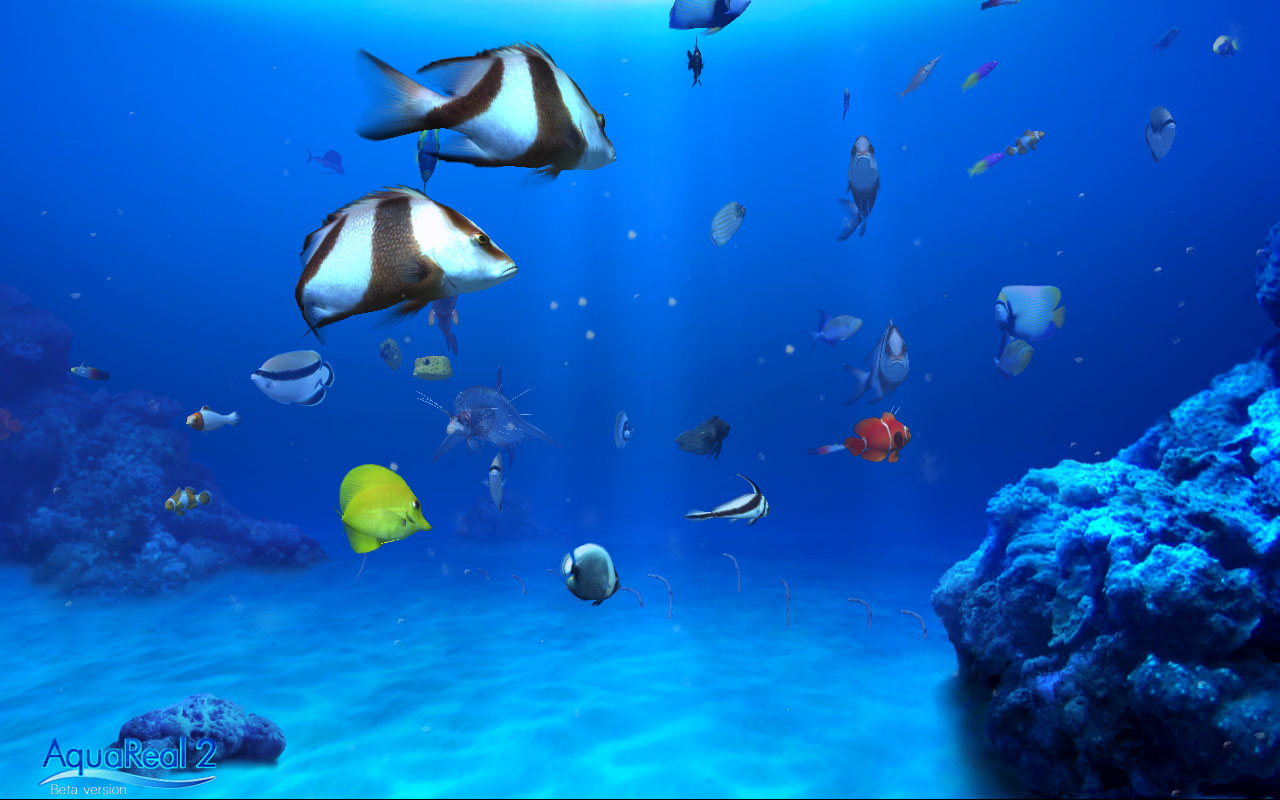 DigiFish Aqua Real 2 screenshot 6