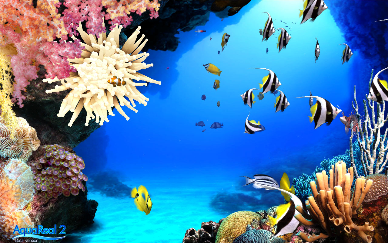 DigiFish Aqua Real 2 screenshot 8