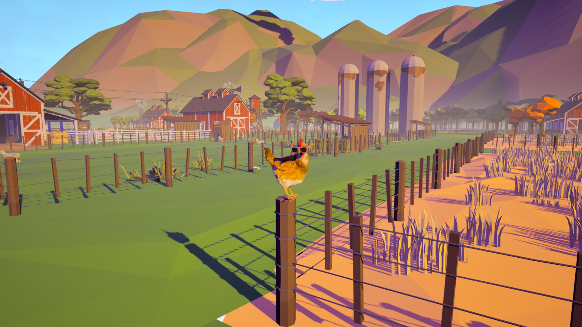 Farm Chicken screenshot 12
